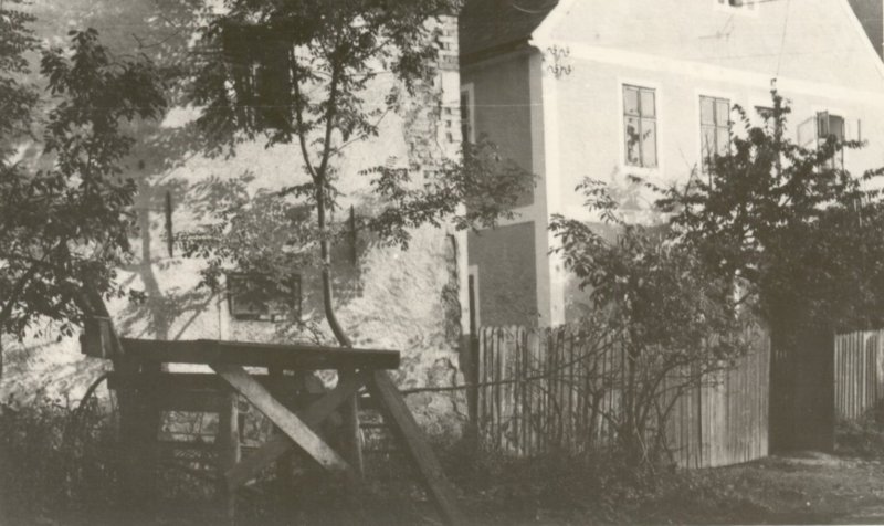 Photograph