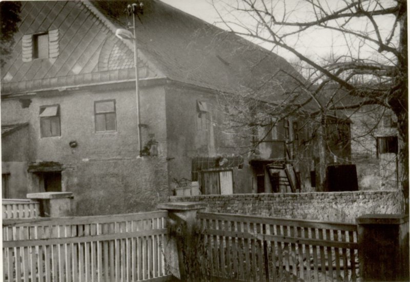 Photograph
