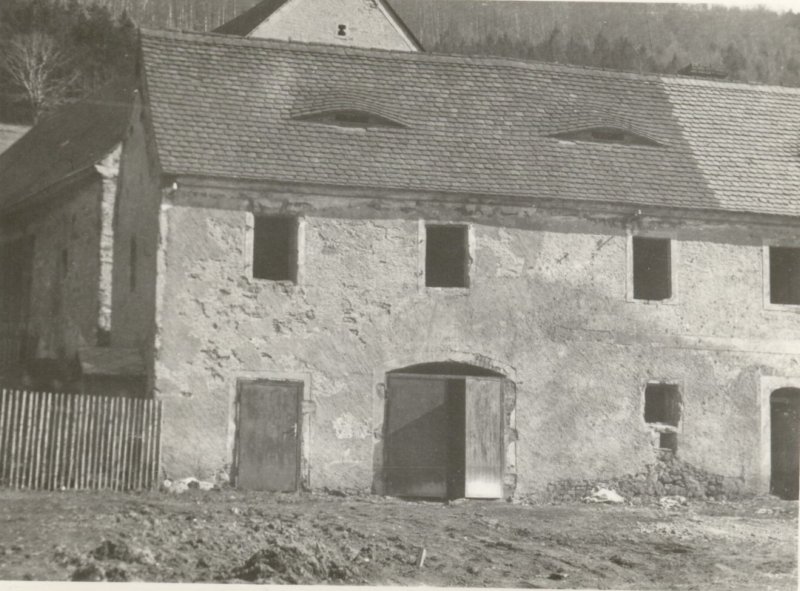 Photograph