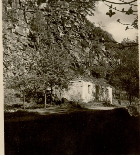 Photograph